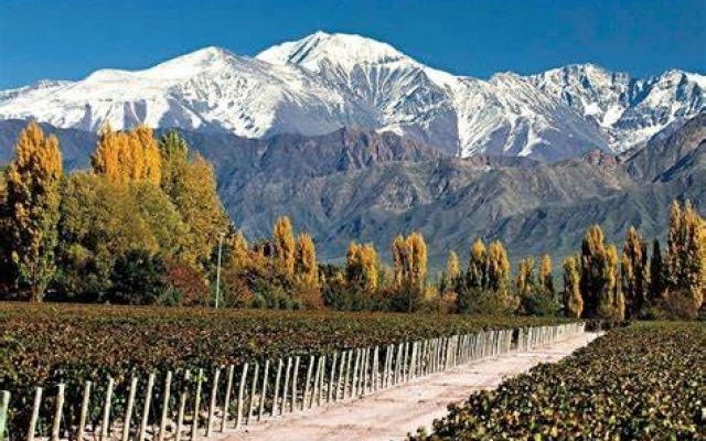 MENDOZA