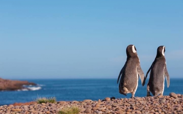 PUERTO MADRYN