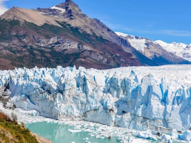 CALAFATE