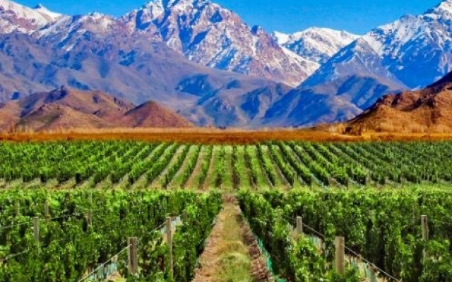 MENDOZA