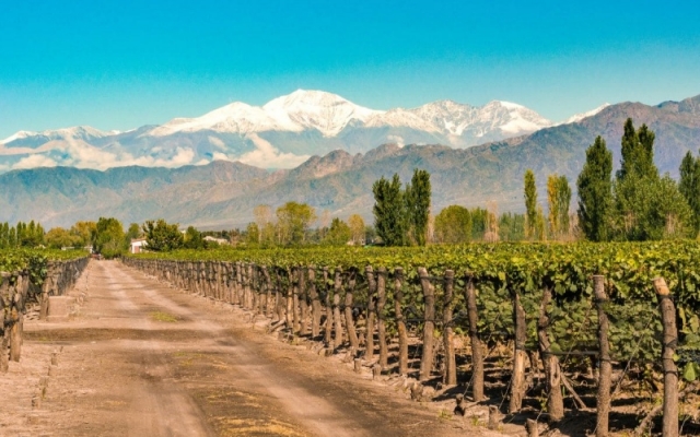 MENDOZA