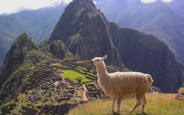 PERU Y BOLIVIA