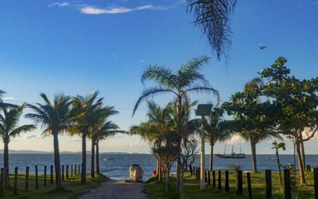 CANASVIEIRAS