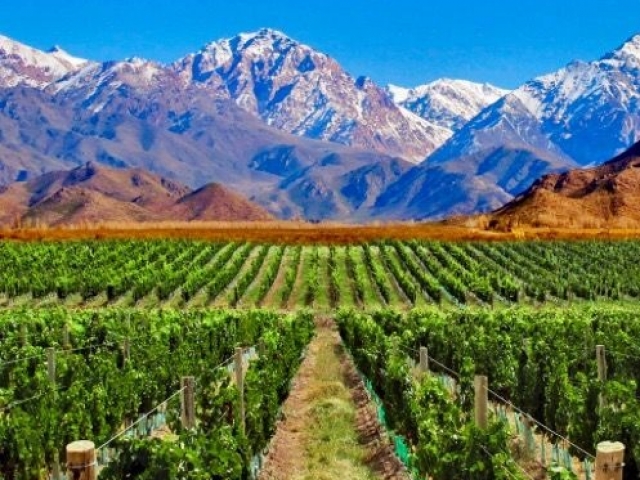 MENDOZA