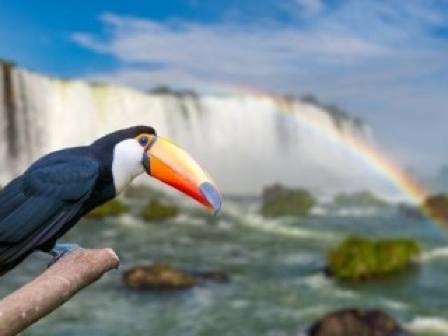 CATARATAS DEL IGUAZÚ