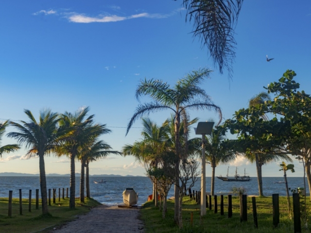 CANASVIEIRAS