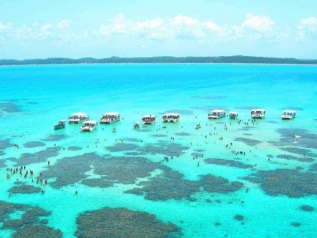 MARAGOGI EN CHARTER 2026