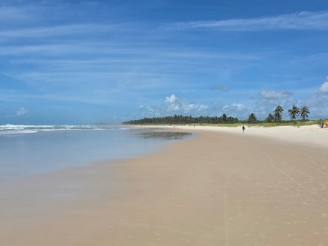 MACEIÓ EN CHARTER 2026