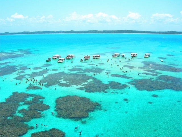 MACEIÓ VERANO 2027 - VUELO CHARTER