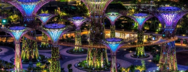 Super arboles y energía solar