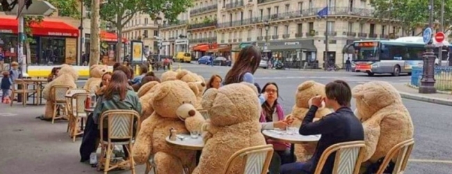 Osos gigantes en Paris