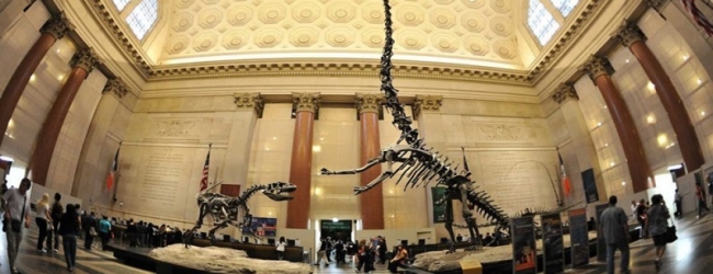 Poco a poco New York vuelve a brillar