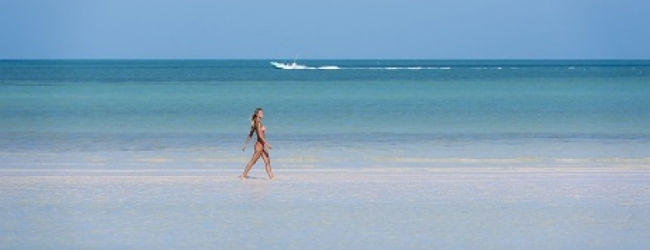 Nuevas aperturas de Cadena Palladium